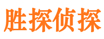 鼎湖寻人公司